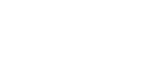 Delta Consulting Group